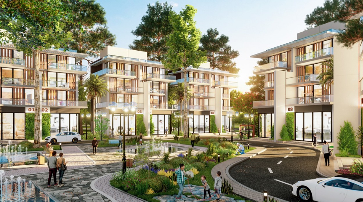 Công viên rừng thông